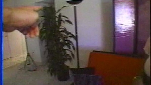 LBO - Affrican Angels 02 - scene 2 - video 1  