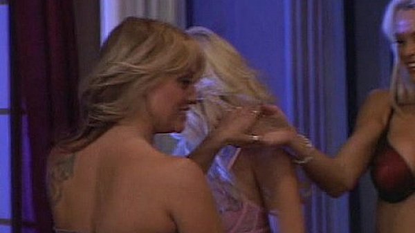 Wildlife - Pussy Playhouse 18 - scene 5  