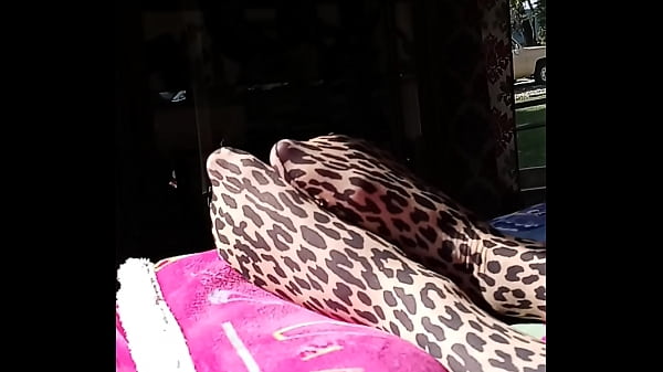 bisexual spots nylons  