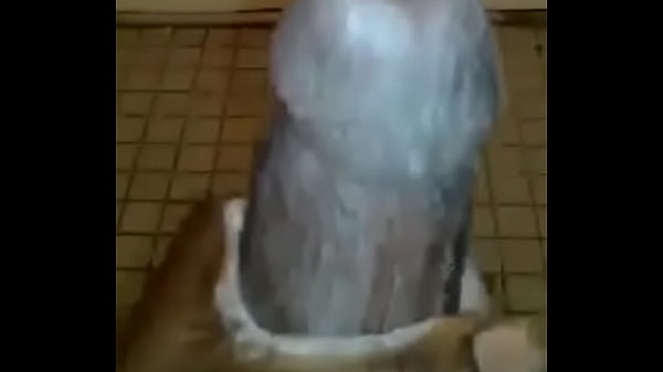 Ebony solo guy thick load