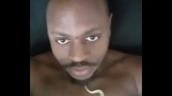 Other colors these scorpio zodiac animals show up in 2