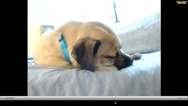 nimbus-record-video (42)