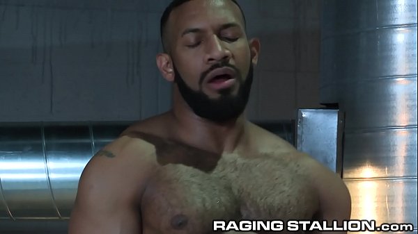 african american d a d d y has anal sex with furry w h i t e ass 