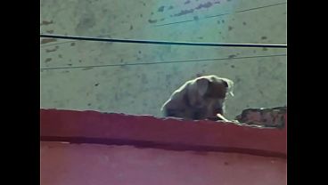 Dopamina - Video clip oficial