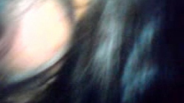 q buena cogida le dimos