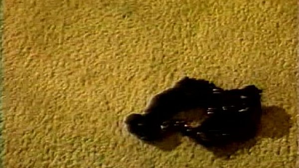 LBO - Bubble Butts Vol04 - scene 2 - video 3  