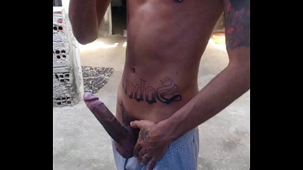 Ale s   pauzudo de campinas sp  