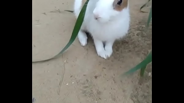 Girl fuck on her badroom with her husband and boy Friends