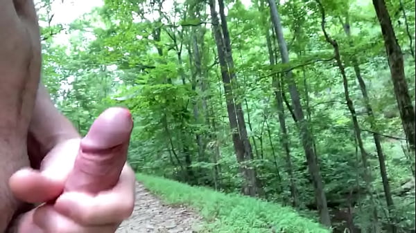 On the trail with the animals