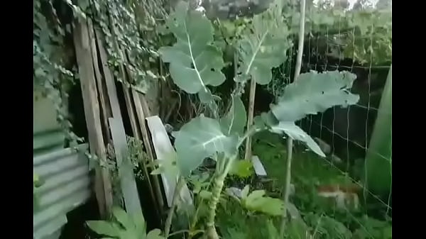 Cinema belas Mulheres beautiful girls ladies beach big boobs praia  