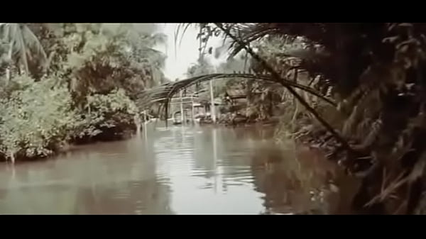 lutadores clonados de bruce lee