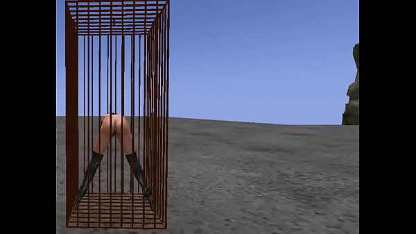 BDSM cage SL stuff instruction