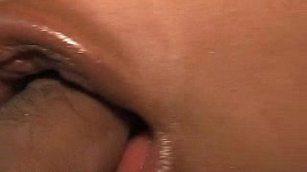 PussyFoot CoCo Wide as all Outside