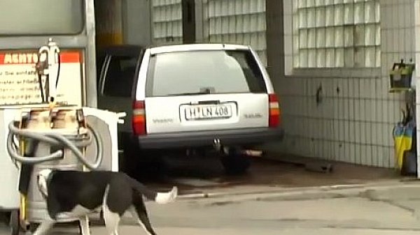 german Milf picked up for car sex