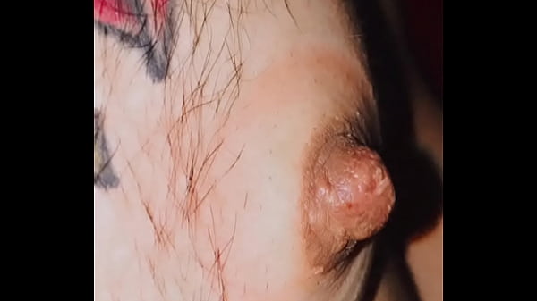 MAMILO DURA&Ccedil;O!!!  