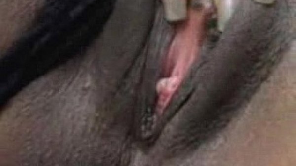 Fairy - Threesome with black chicks1