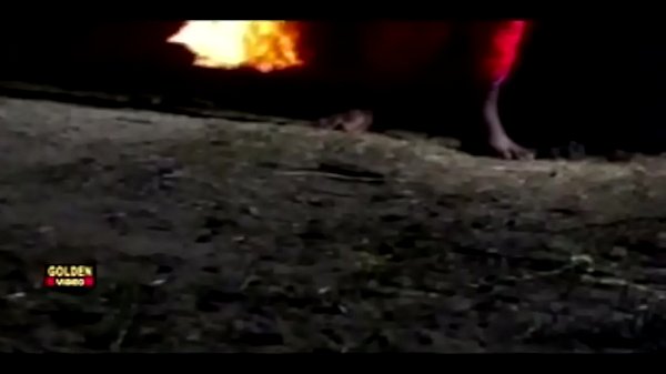 Hot Telugu Movies - Midnight Roja Hot Telugu Full Length Movie