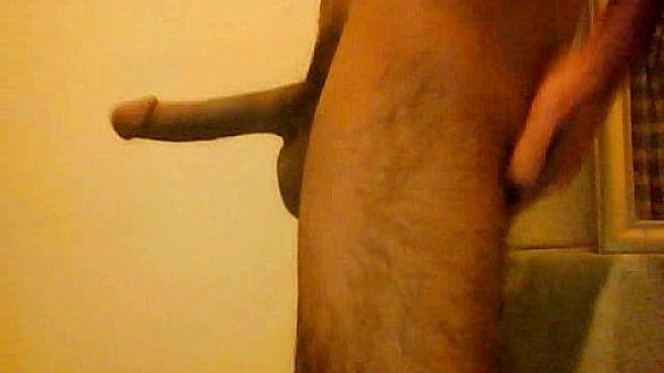Pakistani Cock