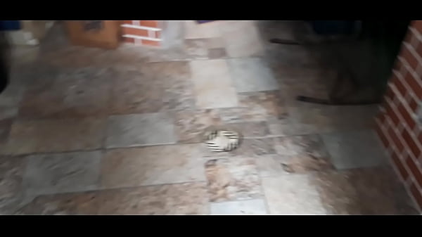 Programa 350&10 Coisas