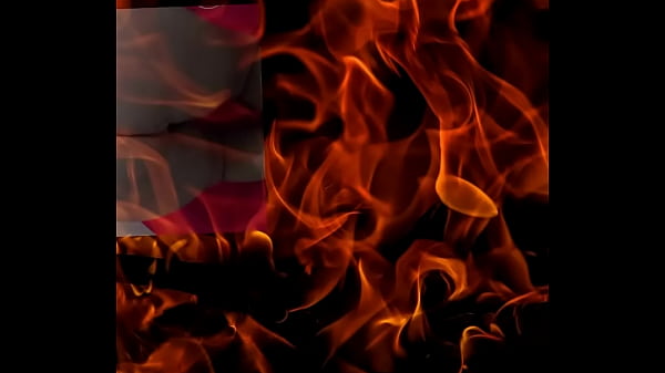 Melhor brega que j&aacute; vi