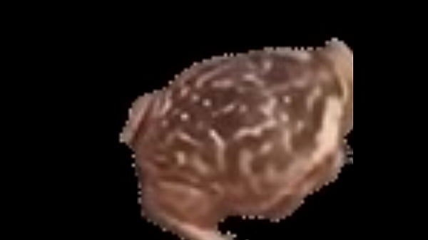 Sapp girando noce q mas p0ner