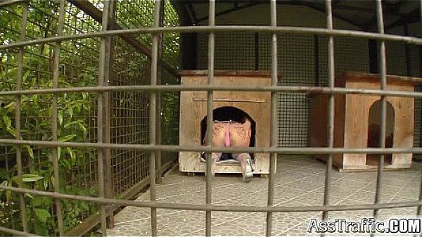 Ass Traffic Chick gets her ass trained by 2 well hung guys