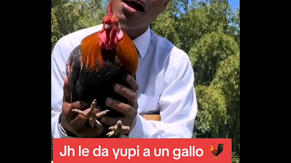 Audio: Jh Detona a Gallina con bendici&oacute;n  