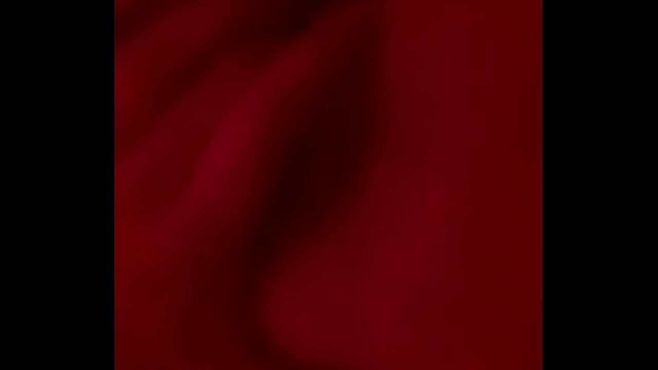 Una perra dedeandose