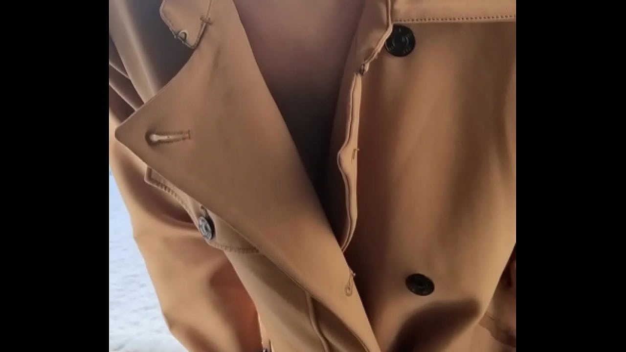 Shanaxcam - update #17 - Dec 31, 2021