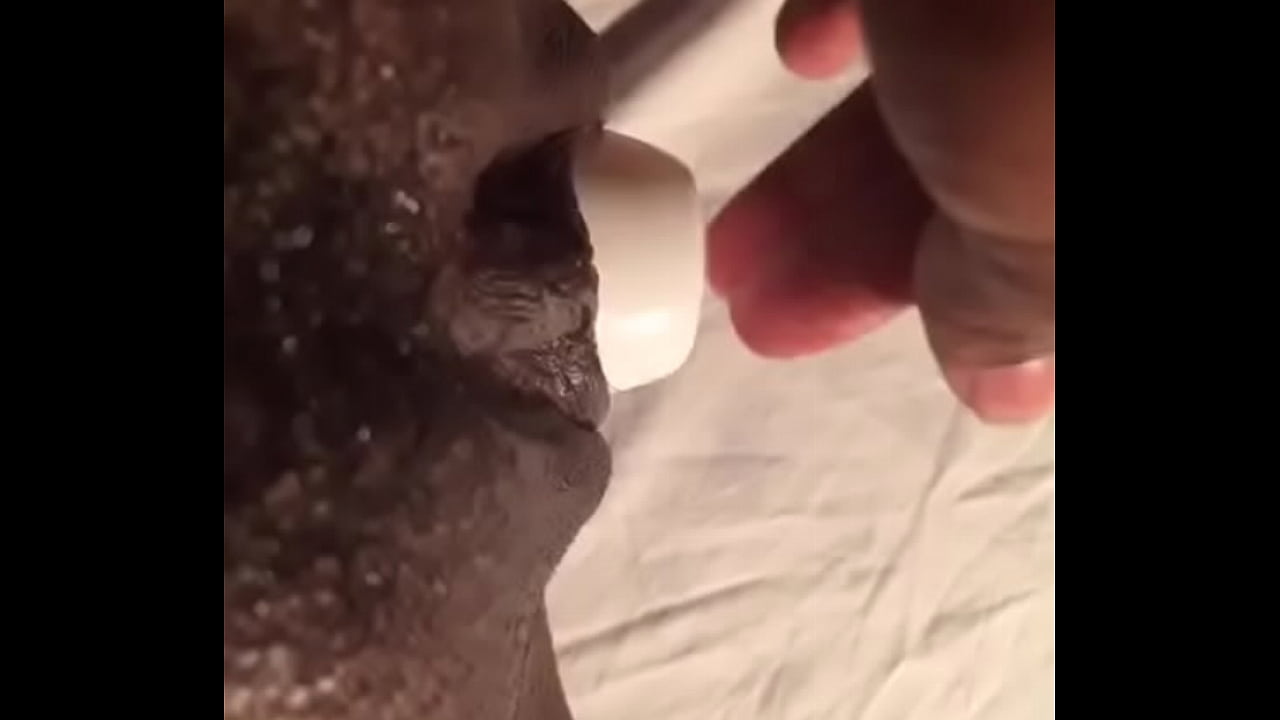 trim.D5EDB368-2904-4B0E-AAA7-4B5FDC1848E1.MOV