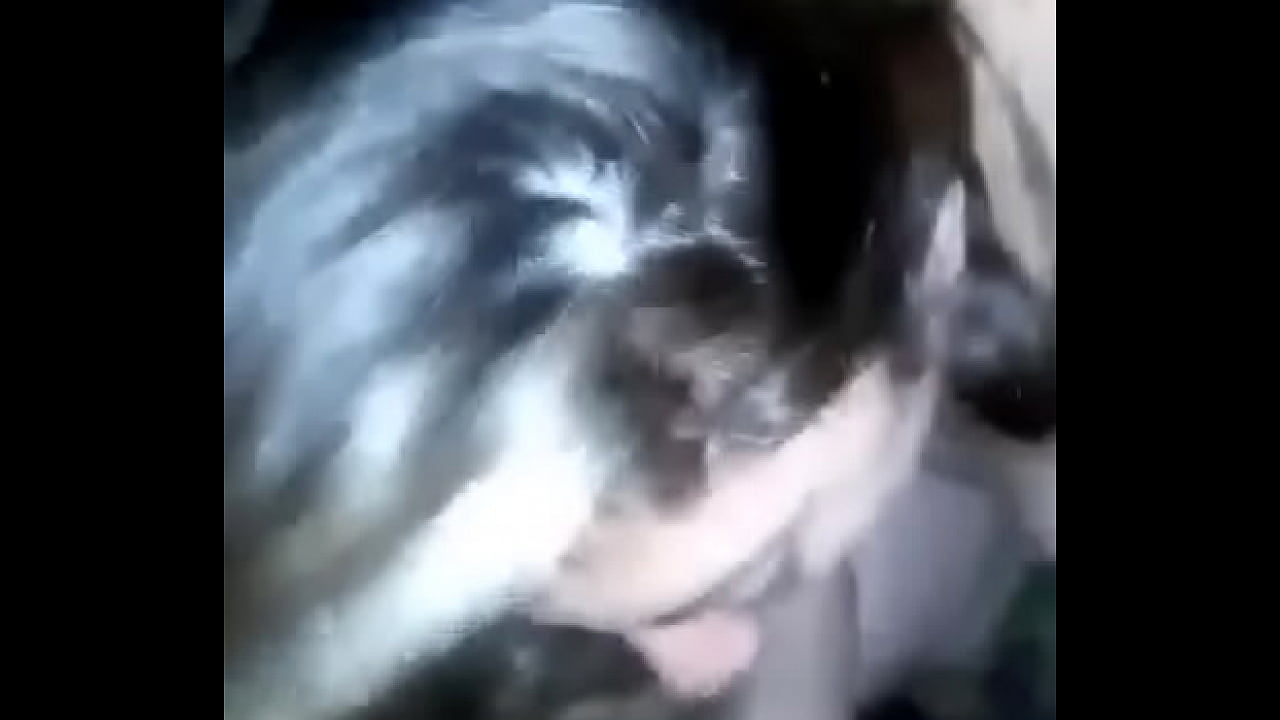 received 114777805761566