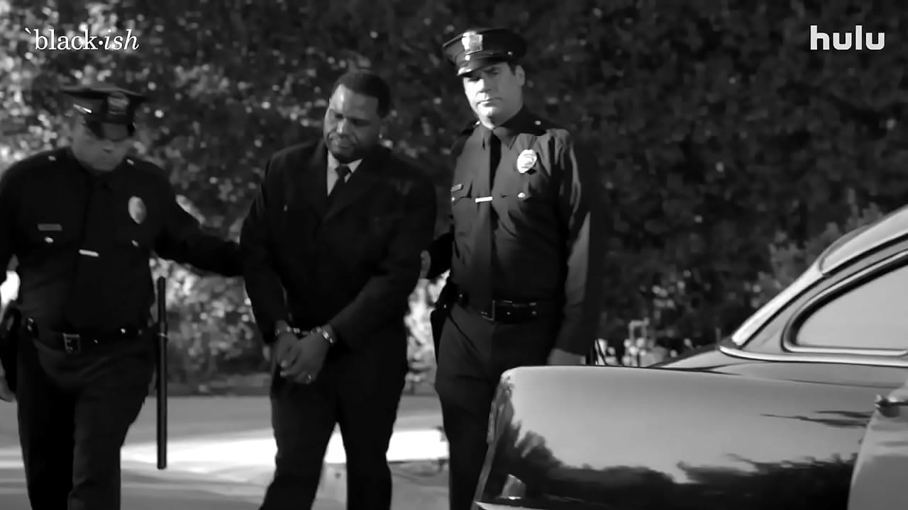 What My Boy Shannon Should Have Done!