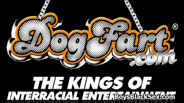Blacks on boys - Gay Interracial Nasty Fuck Video 13