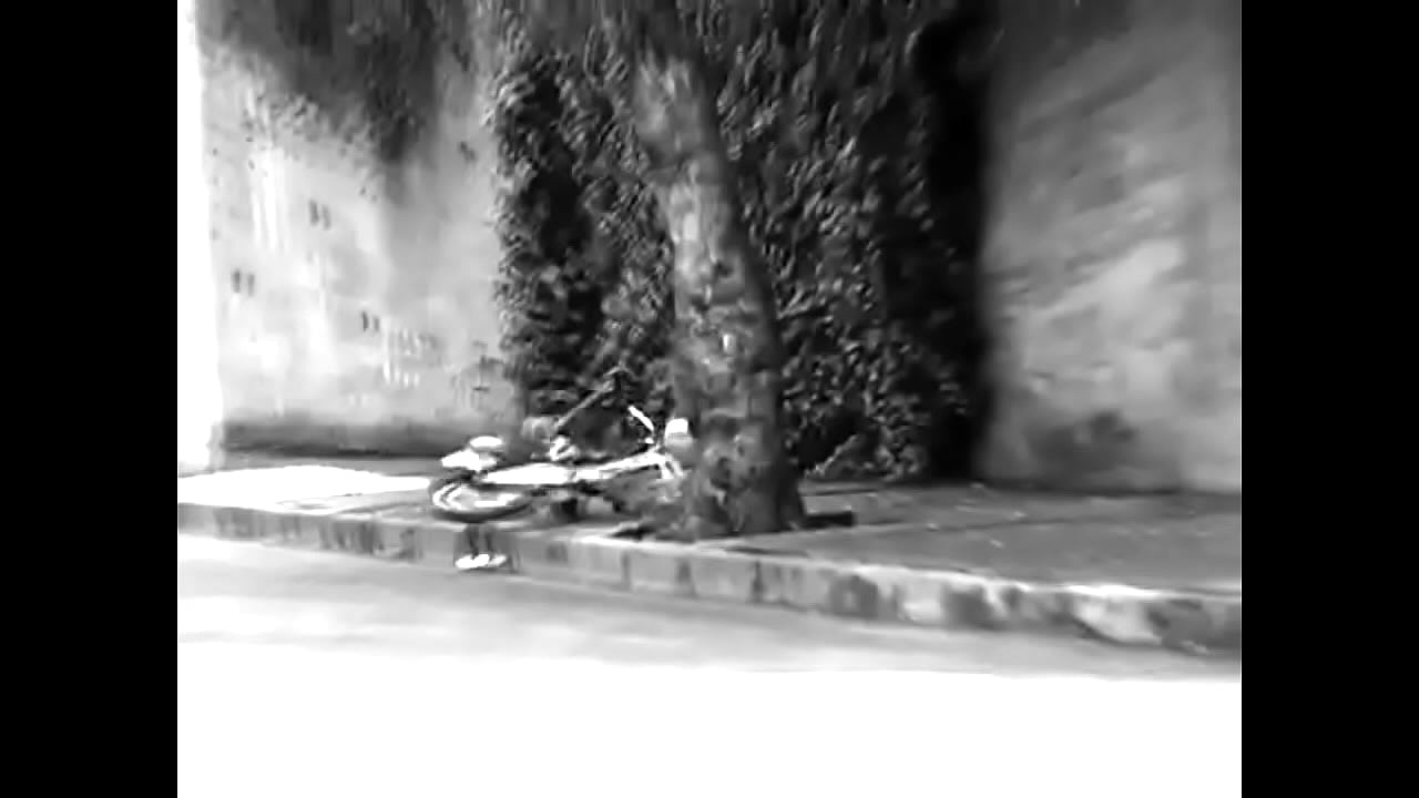 El Regalo de Bodoque