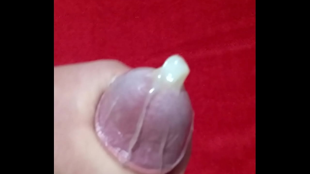 Pau grosso Prudence Cabe&ccedil;&atilde;o