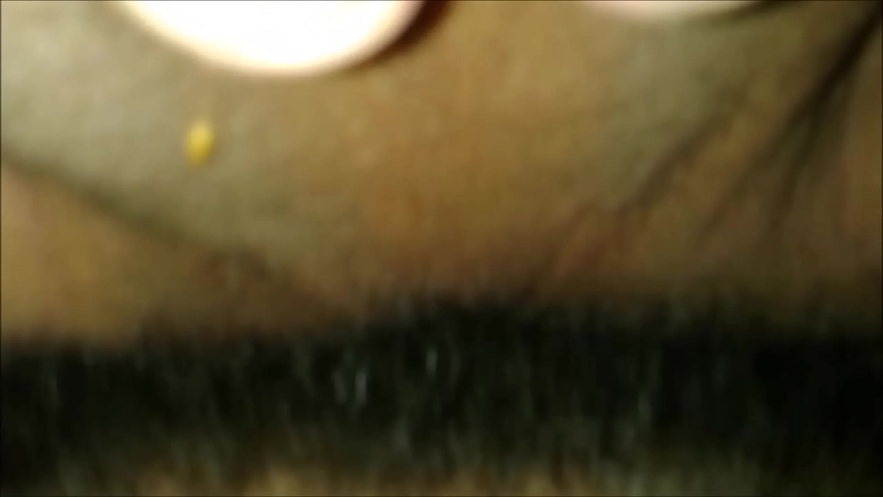 Faena con Marl&oacute;n-20-04-16