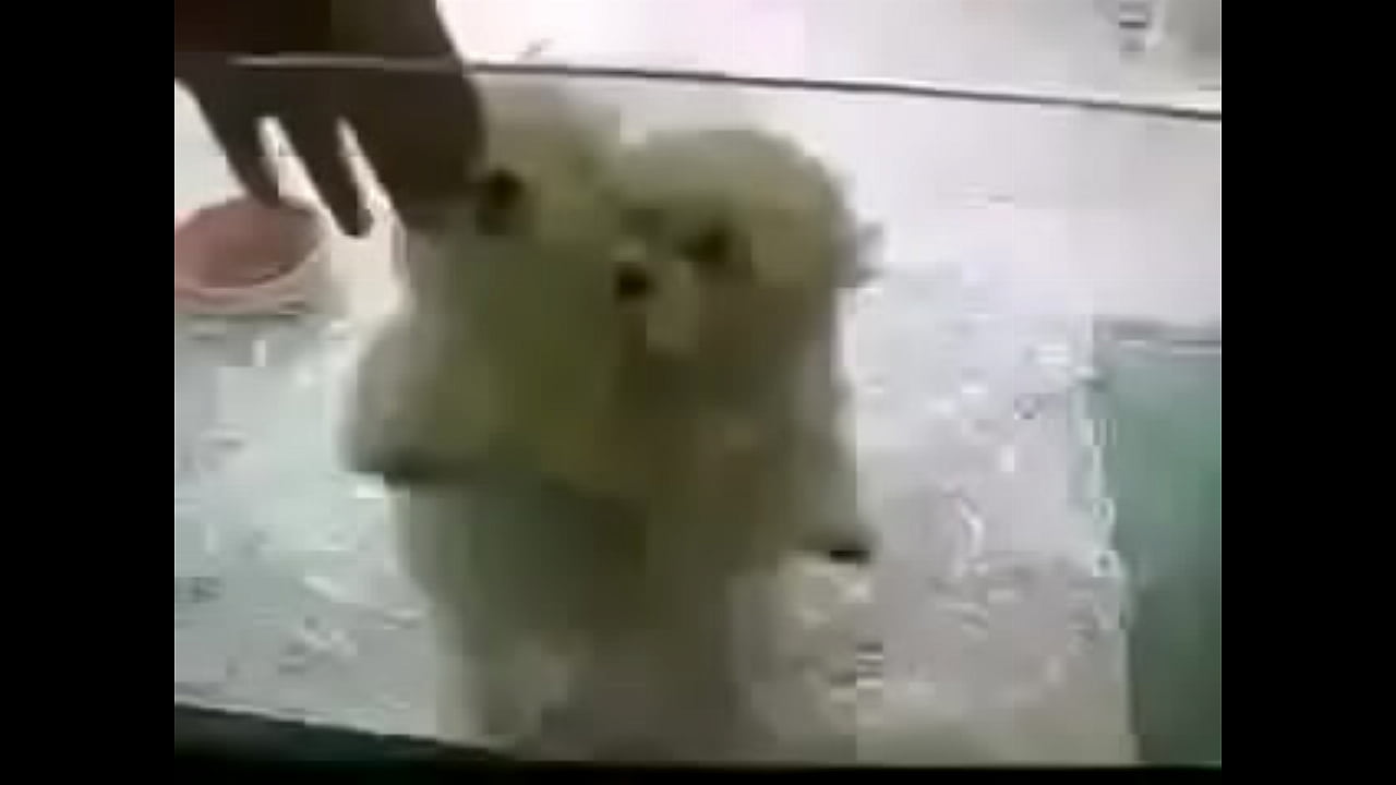 &ETH;&ordm;&Ntilde;&fnof;&ETH;&acute;&Ntilde;&euro;&Ntilde;&ETH;&sup2;&Ntilde;&lsaquo;&ETH;&micro; &Ntilde;&sbquo;&ETH;&deg;&ETH;&frac12;&Ntilde;&dagger;&Ntilde;&lsaquo;!!!