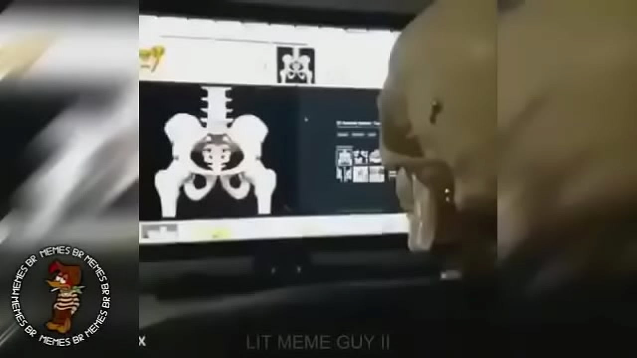 punheta p&oacute;s morte