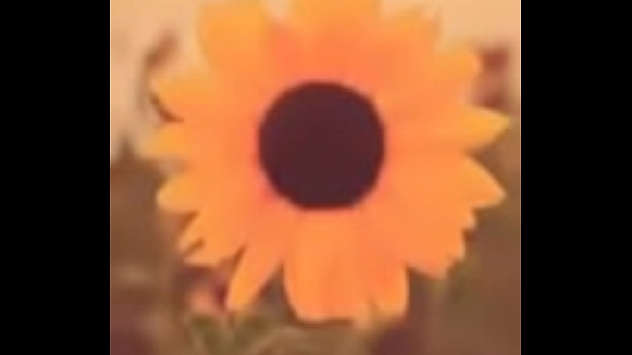 perrita cantando semi desnuda