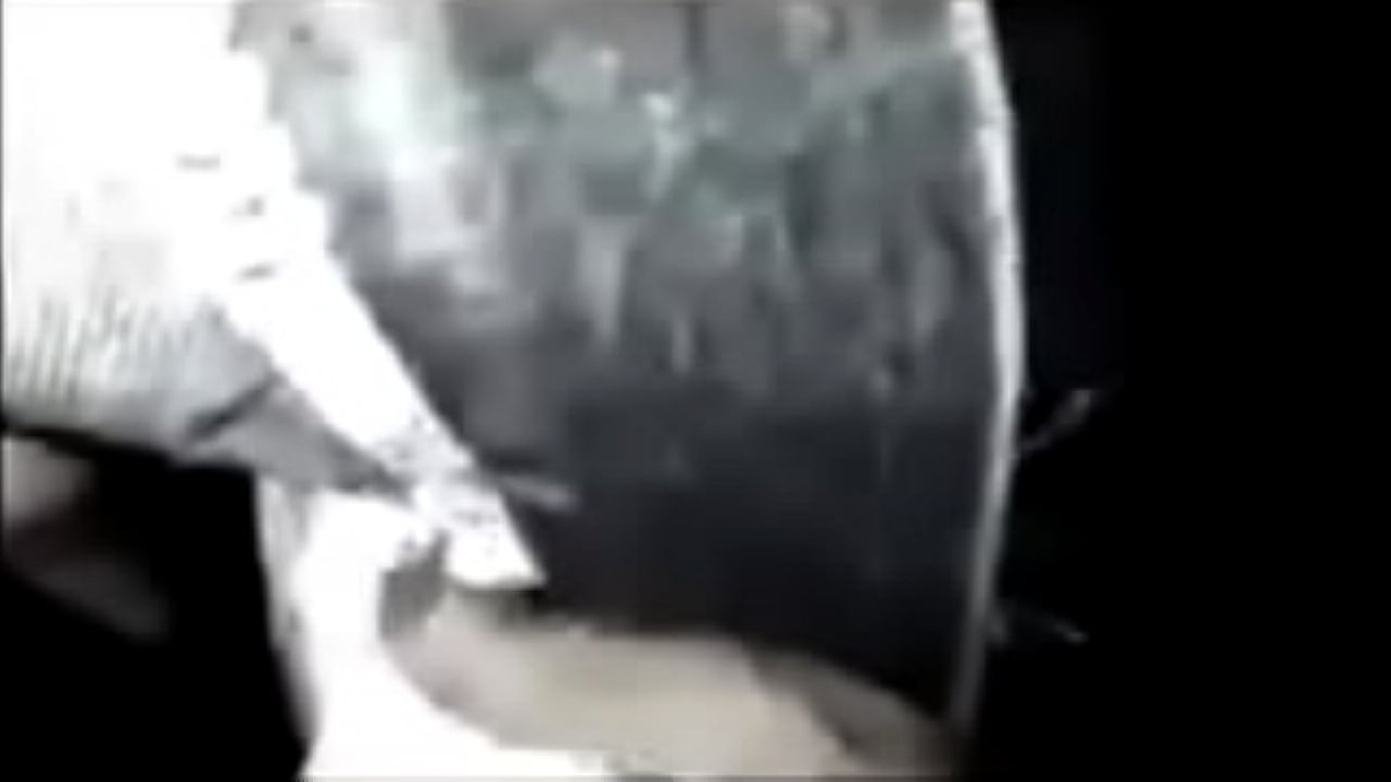 flash girl touch cum.MP4