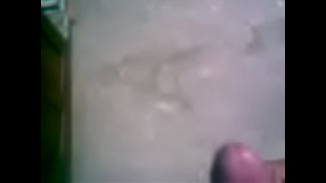 tributo a humeda 3004