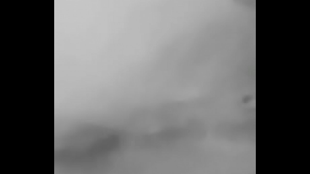 Look at that pretty pussy