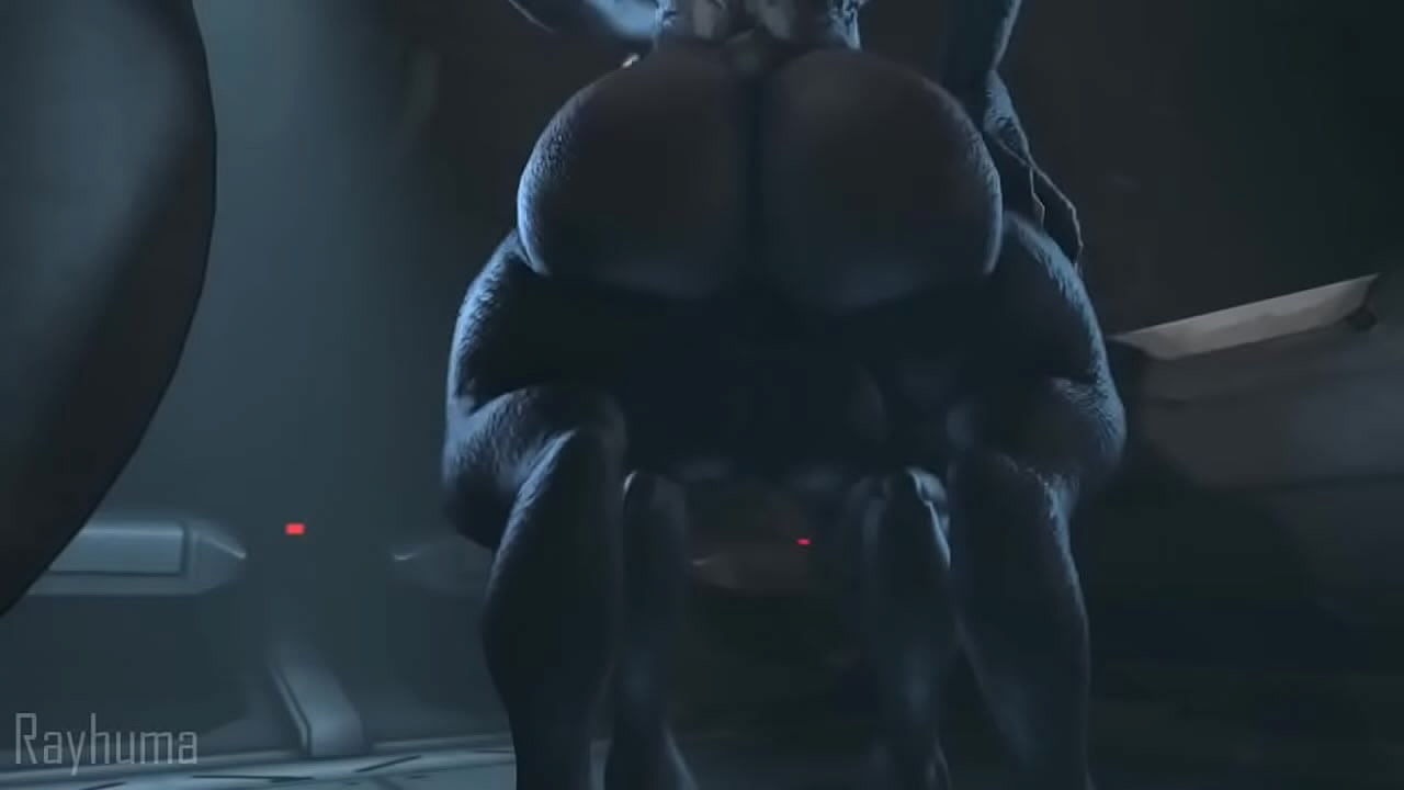 halo porn