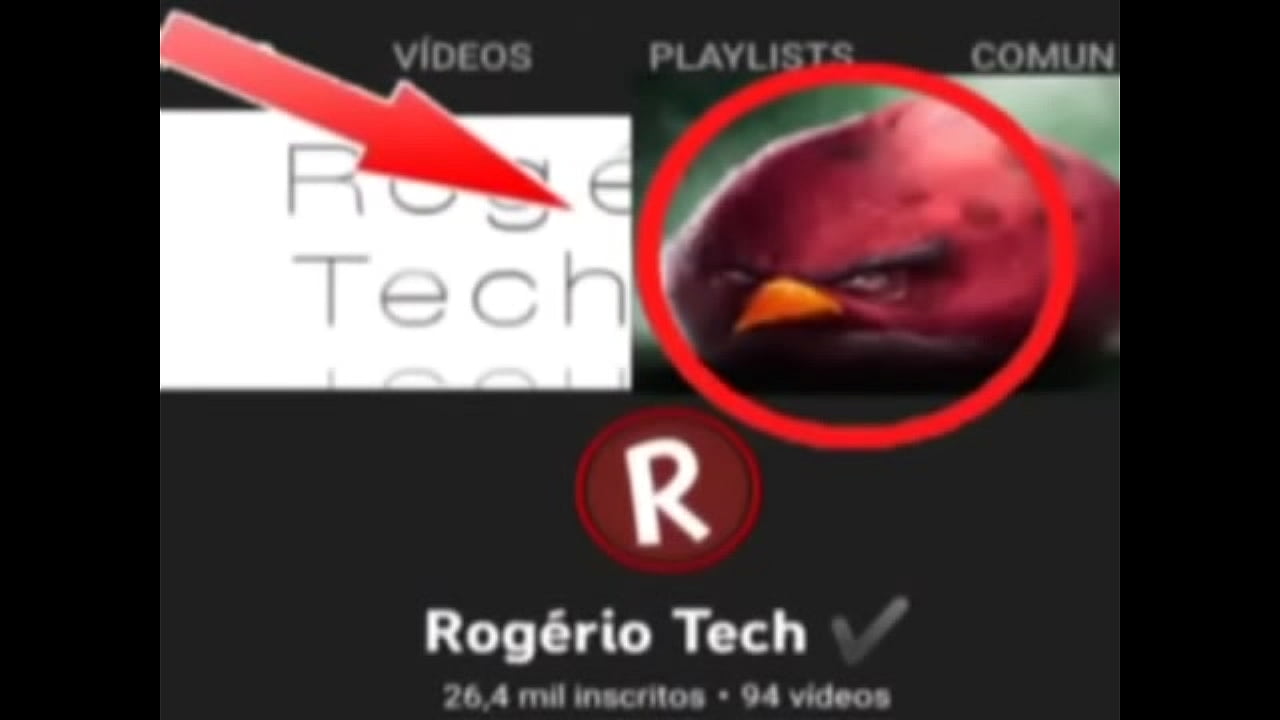 top 5 imagens fodas de p&aacute;ssaros