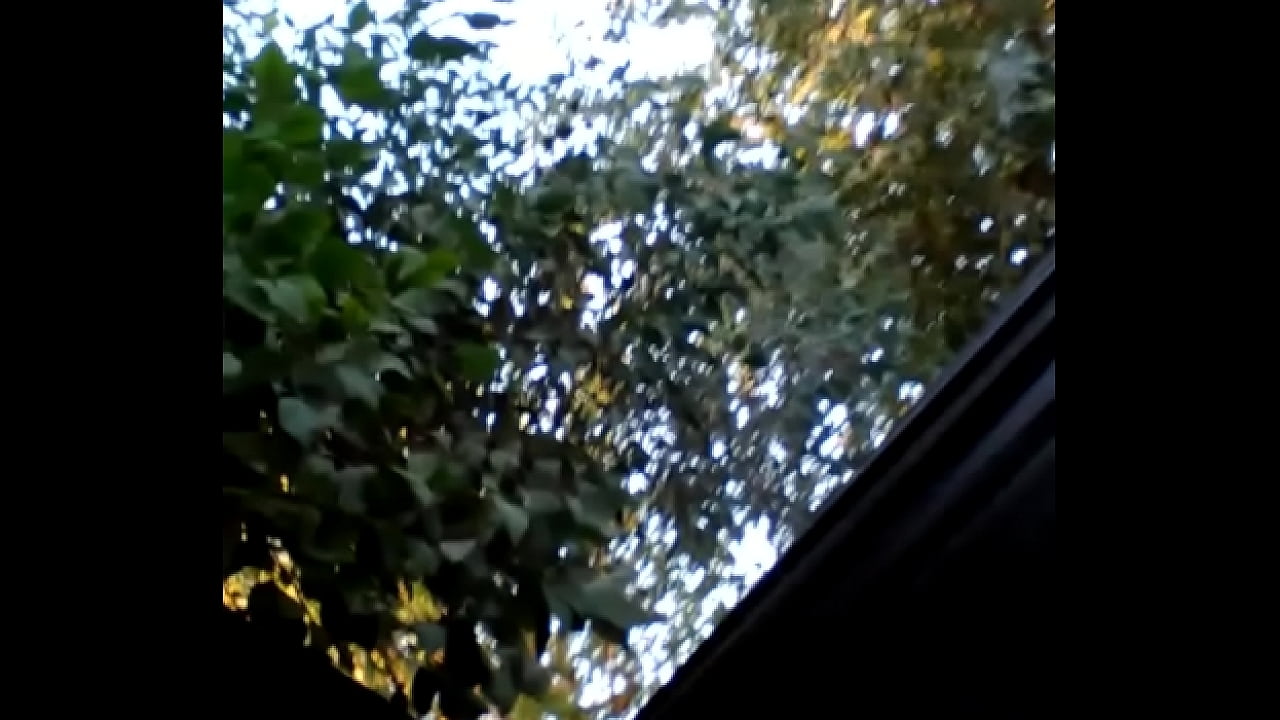 s.-1920397881185009183