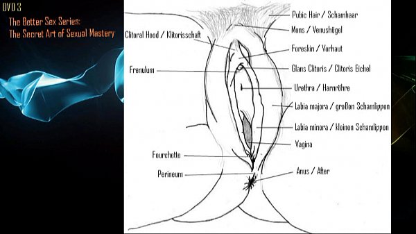 Wir werden Ihnen helfen Ihr Sex Leben bedeutend zu verbessern. Seri&ouml;s, Professio