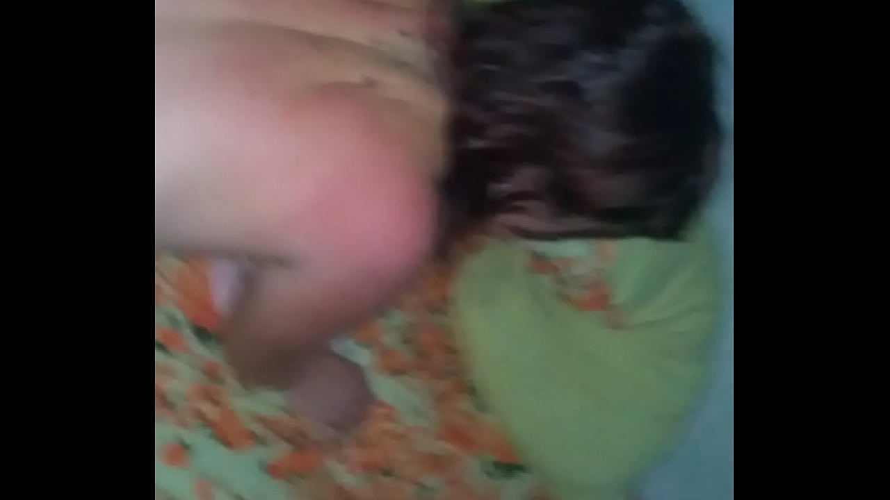 arrombando o girasol rosa