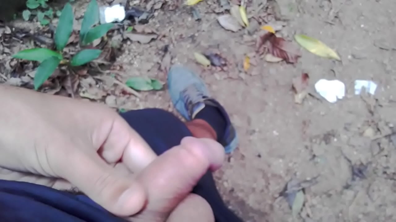 trilha  Ilha Porchat