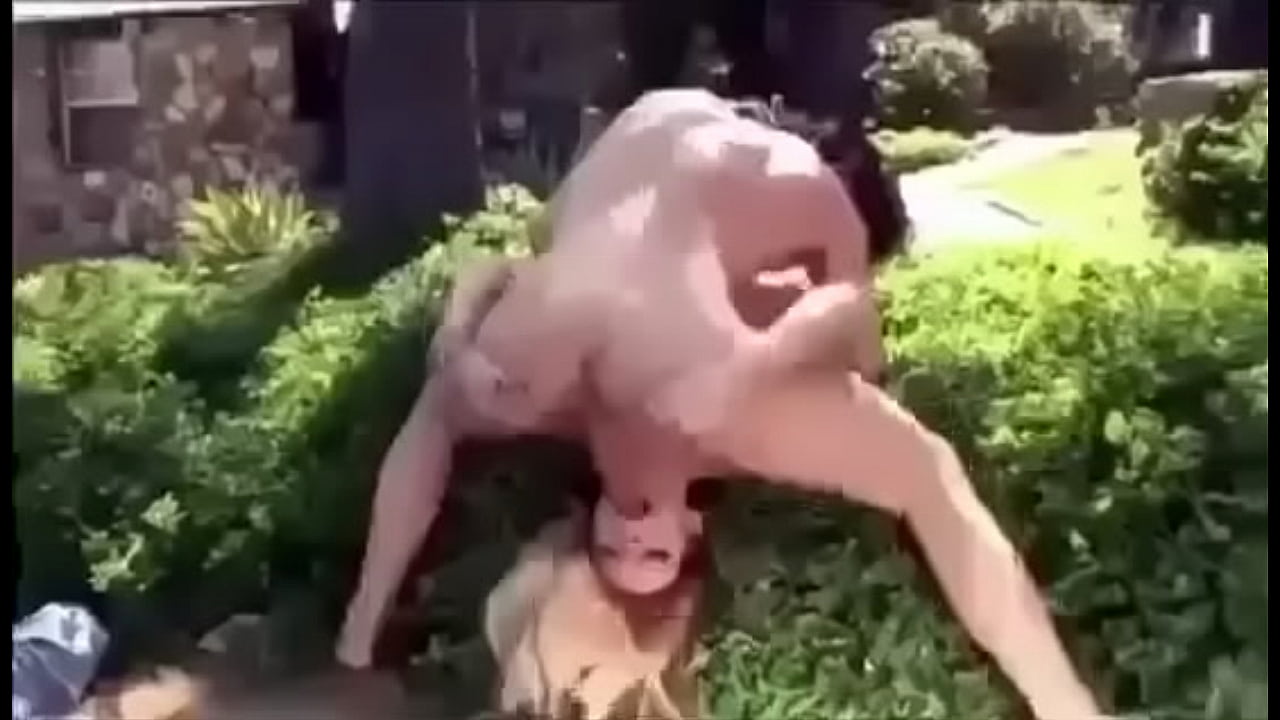 Aliens & Humans - we are disame