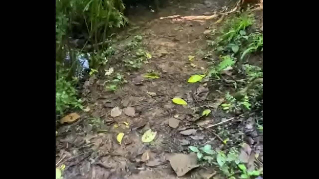 7 dias de muita paz e amor em Terra Una